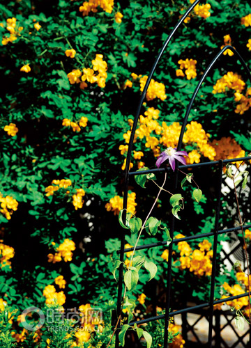 花園