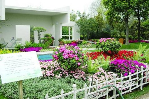 小庭院綠化