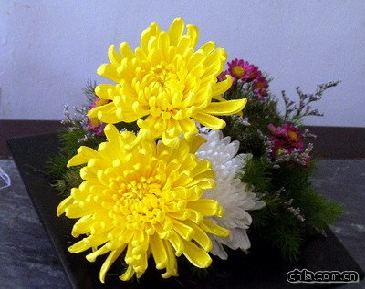 北海公園舉辦第二十九屆菊花展