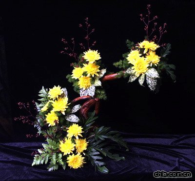 插花藝術欣賞之菊花篇(組圖)