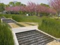 加州山景城查爾斯頓公園設(shè)計(組圖)