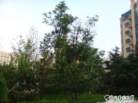 2008(yu)|(zh)֮ɇH@H^(q)@־^