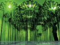 “2009海峽兩岸當代藝術展”將與大陸觀眾見面