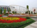 上海園--第七屆中國（青州）花博會國內展園