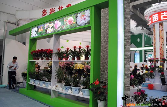 ���ߌû�����(����)�҃�չ--���Cչ�^