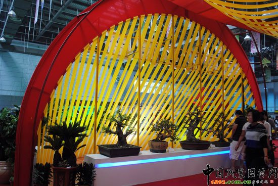 ���ߌû�����(����)�҃�չ--�V�|չ�^