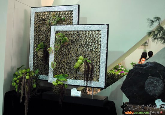 ���ߌû�����(����)�҃�չ--�ӱ�չ�^