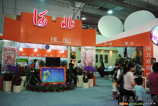 ���ߌû�����(����)�҃�չ--�ӱ�չ�^