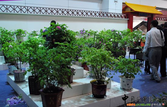 ���ߌû�����(����)�҃�չ--����չ�^