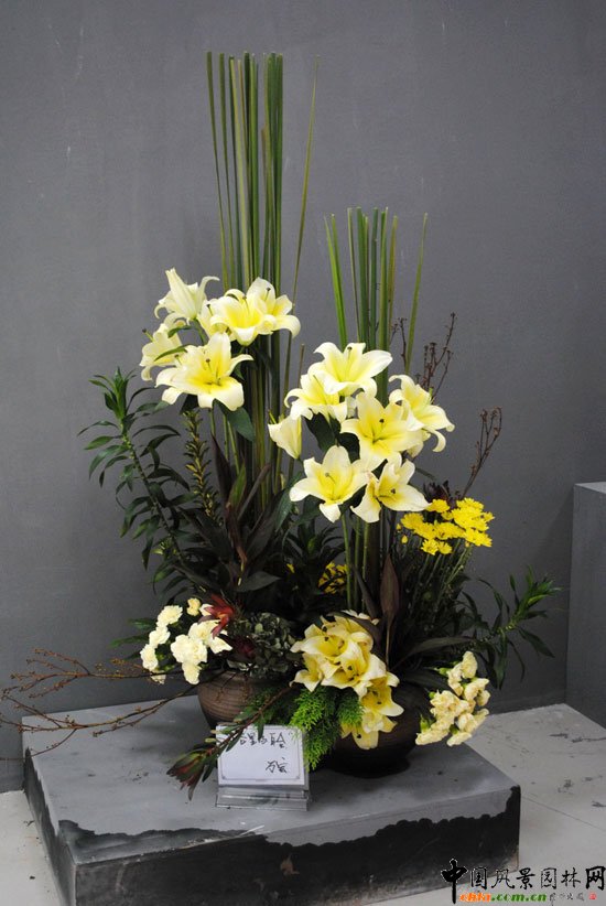 ���ߌû�����(����)�҃�չ--��ˇ�^