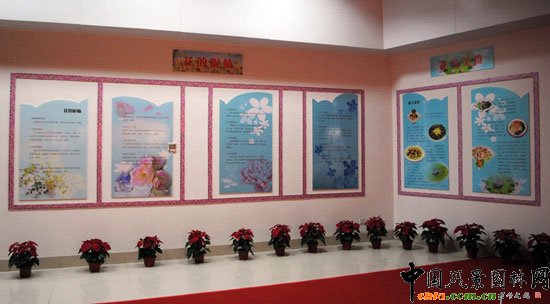 ���ߌû�����(����)�҃�չ--���c�Ļ��^