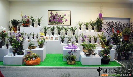 ���ߌû�����(����)�҃�չ--ɽ��չ�^(q��)