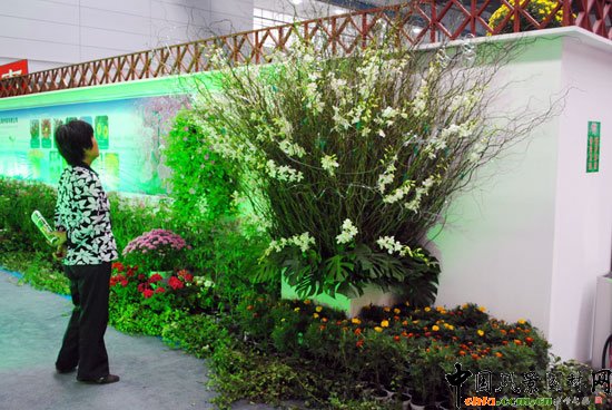 ���ߌû�����(����)�҃�(n��i)չ--����չ�^(q��)