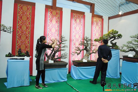 ���ߌû�����(����)�҃�(n��i)չ--���չ�^(q��)