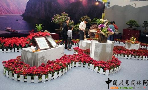 ���ߌû�����(����)�҃�(n��i)չ--�ؑcչ�^(q��)