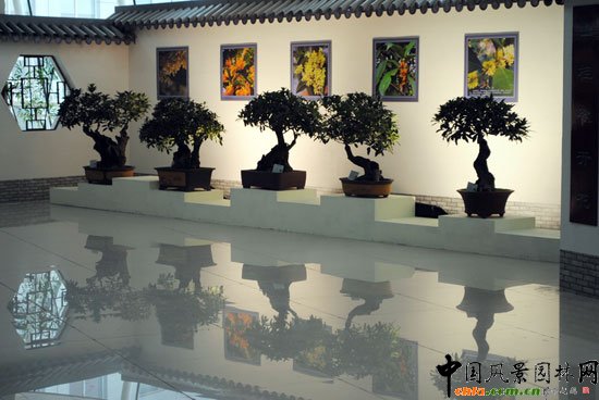 ���ߌû�����(����)�҃�չ--���辰չ