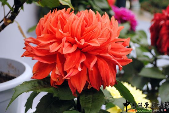 ���ߌû�����(hu��)(����)�҃�(n��i)չ--��Ʒ����