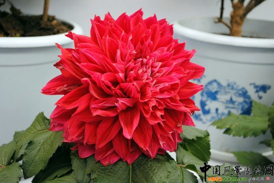 ���ߌû�����(hu��)(����)�҃�(n��i)չ--��Ʒ����