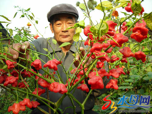 ���������滨����