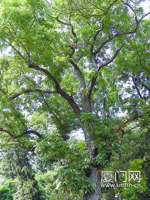 �B�T�����ˎZ�Ř�һֱ���e�J �����a�ӡ��_�J����