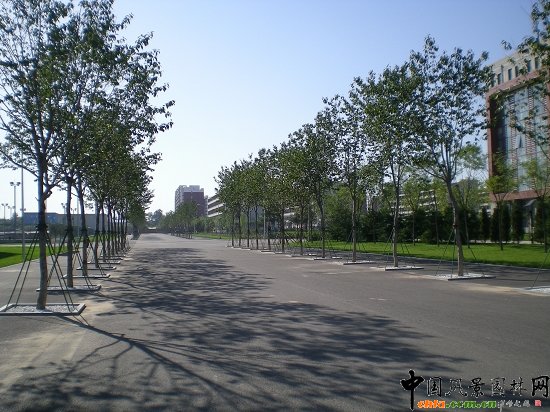 次級道路兩側