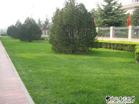 2008(hu)Ʒ֮LּLGظ