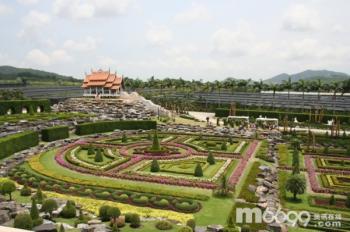 泰國東芭樂園(圖)