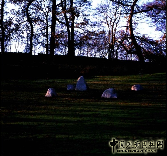 枡野俊明 公寓 公園