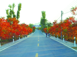 北京 公路 綠化 本土草 進口草 中國風景園林網(wǎng)