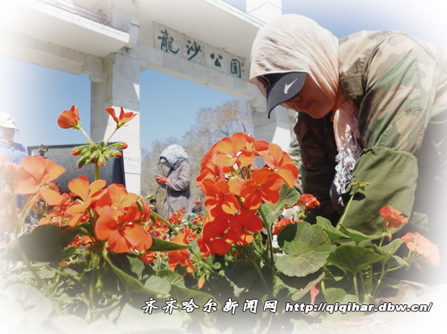 黑龍江 花卉 溫室