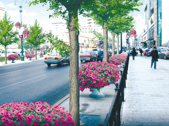 沈陽 太原 景觀