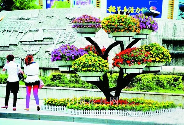 立體花壇 夷陵 花卉