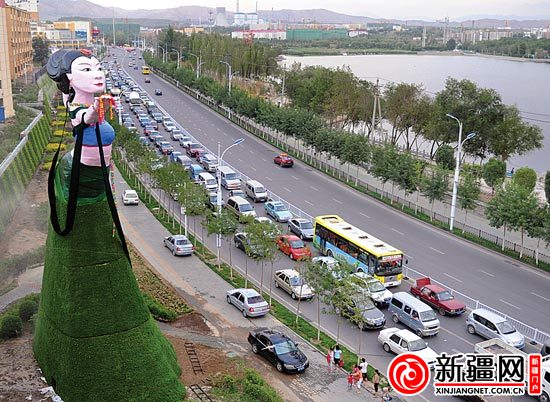 新疆 花卉 景觀