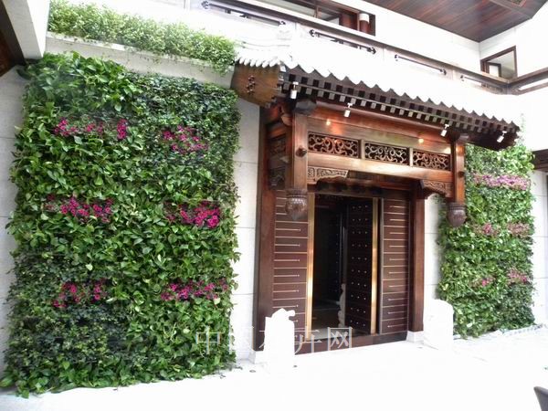 痕量灌溉 澆水 養護