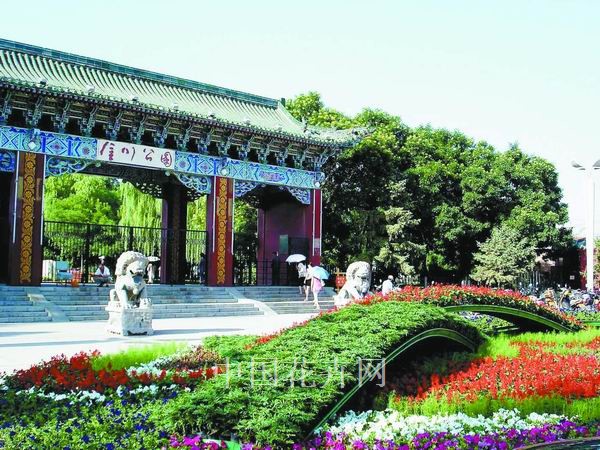 立體花壇 金昌 綠化