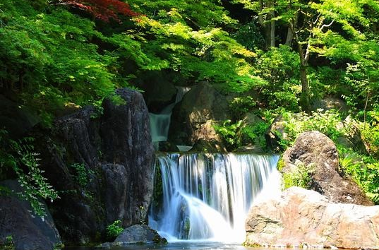 日本 景觀 庭院 設計 特色 水景 中國風景園林網