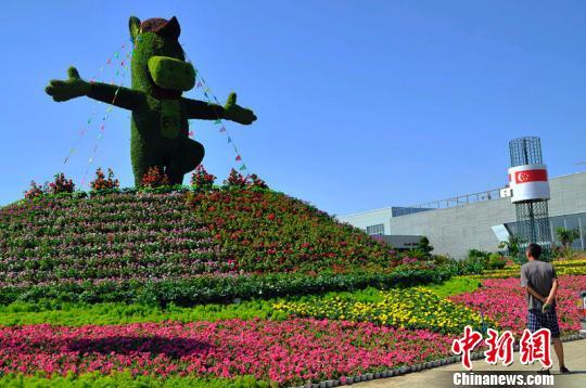 新疆 花卉 綠化