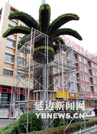 吉林 花箱 景觀