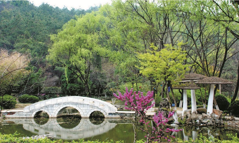 湖北 園林 綠地