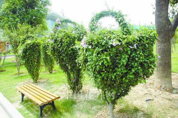 鄭州 植物園 造型