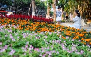 四川 南充 國慶