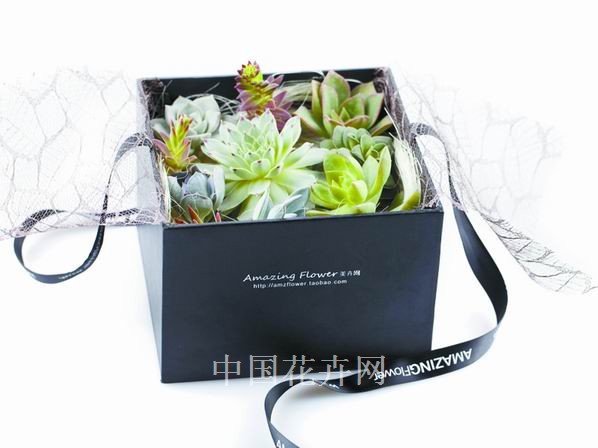 花卉 禮物 教師節