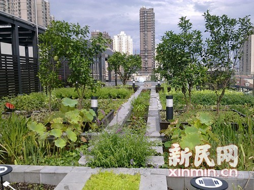 中國(guó)風(fēng)景園林網(wǎng)