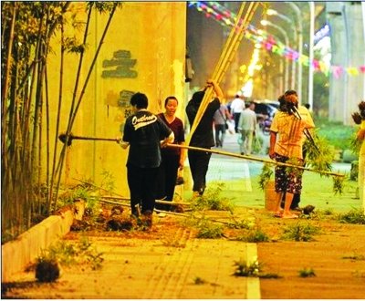 武漢 連根拔起 竹葉山 立交橋 綠化竹 中國風景園林網