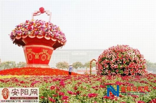 安陽(yáng)國(guó)慶花展