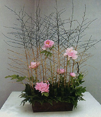 插花 作品 謝曉榮