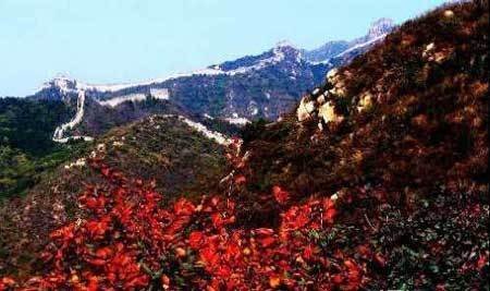 中國風(fēng)景園林網(wǎng) 園林動(dòng)態(tài)