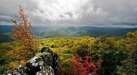 中國(guó)風(fēng)景園林網(wǎng) 園林動(dòng)態(tài)