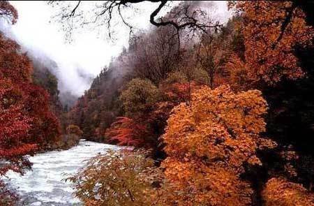 中國風景園林網 園林動態