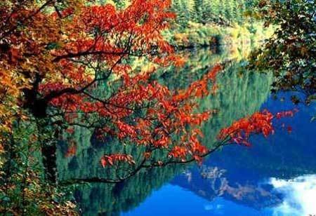 中國風景園林網 園林動態